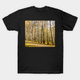 Birch alley in autumn T-Shirt